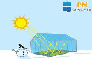 hiệu ứng nhà kính là gì